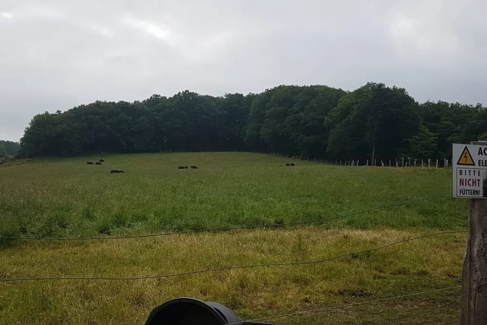 Ferienhotel Wolfsmühle