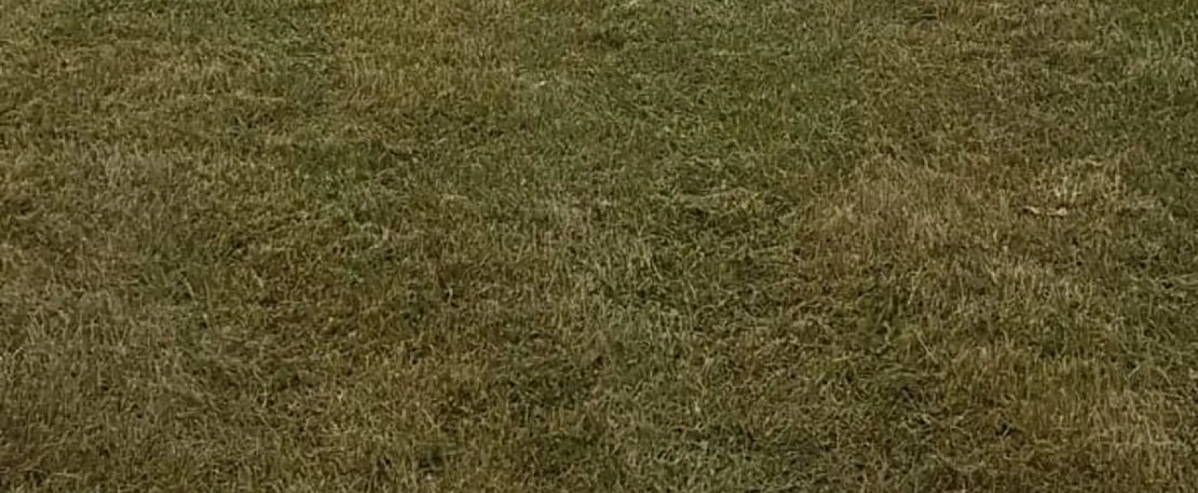 Ferienhotel Wolfsmühle