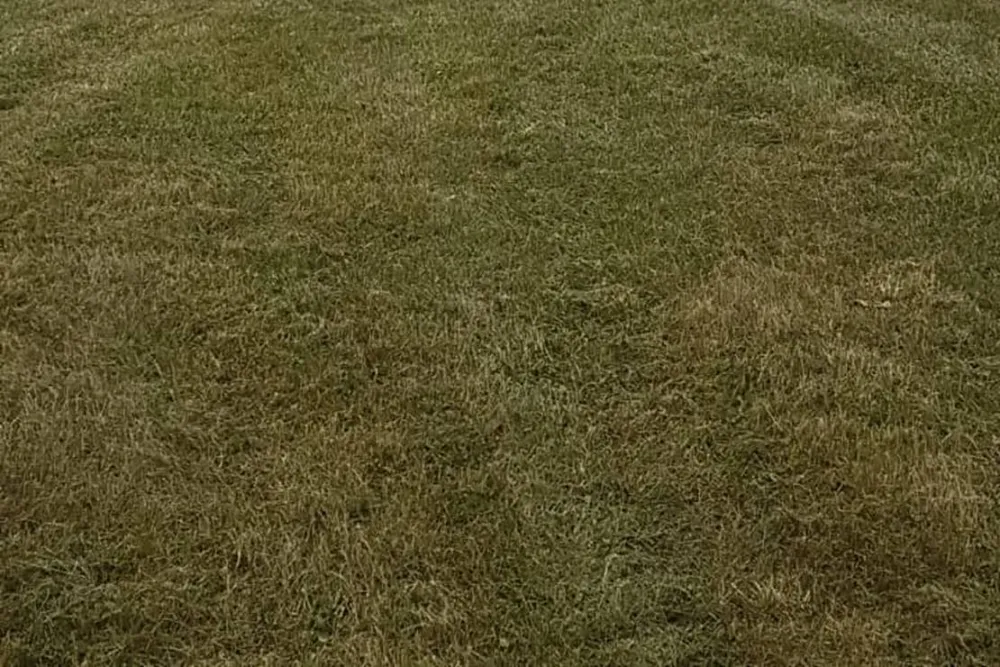 Ferienhotel Wolfsmühle