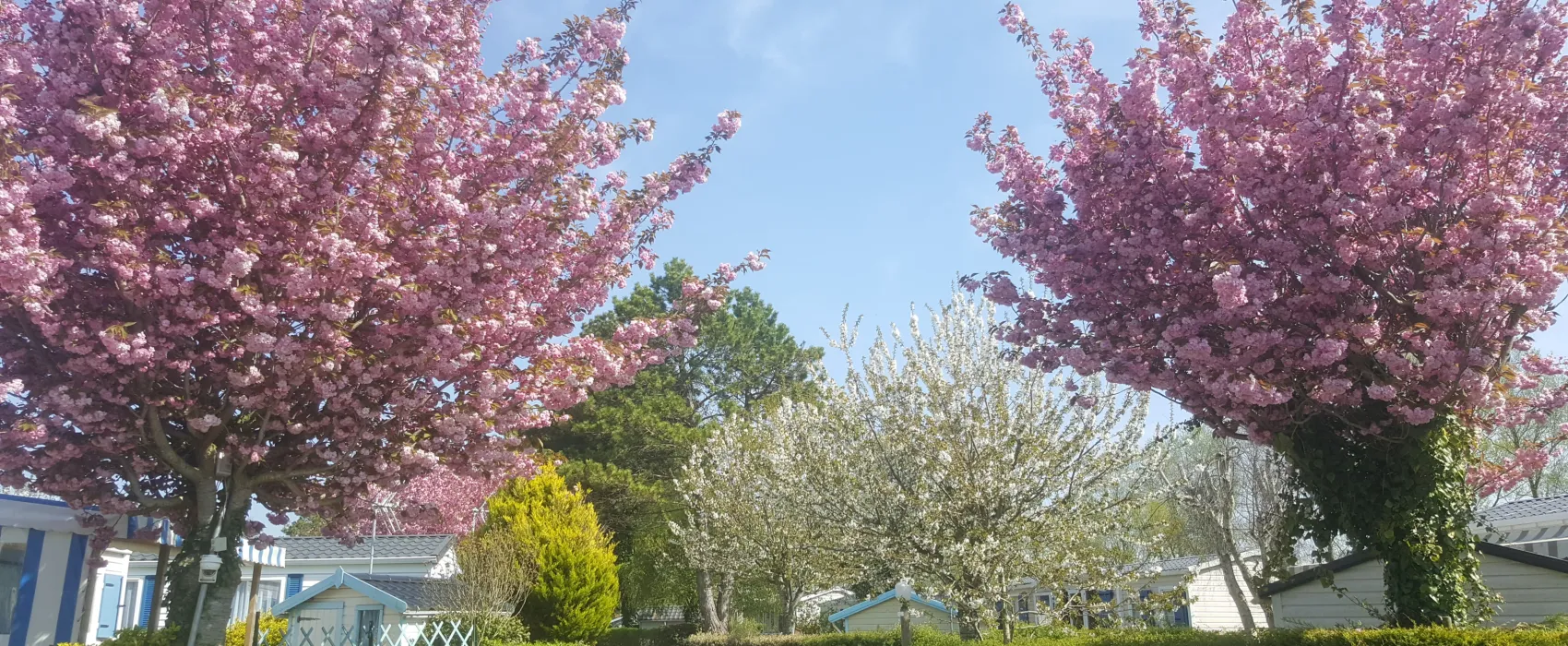 Caravaning Les Cerisiers