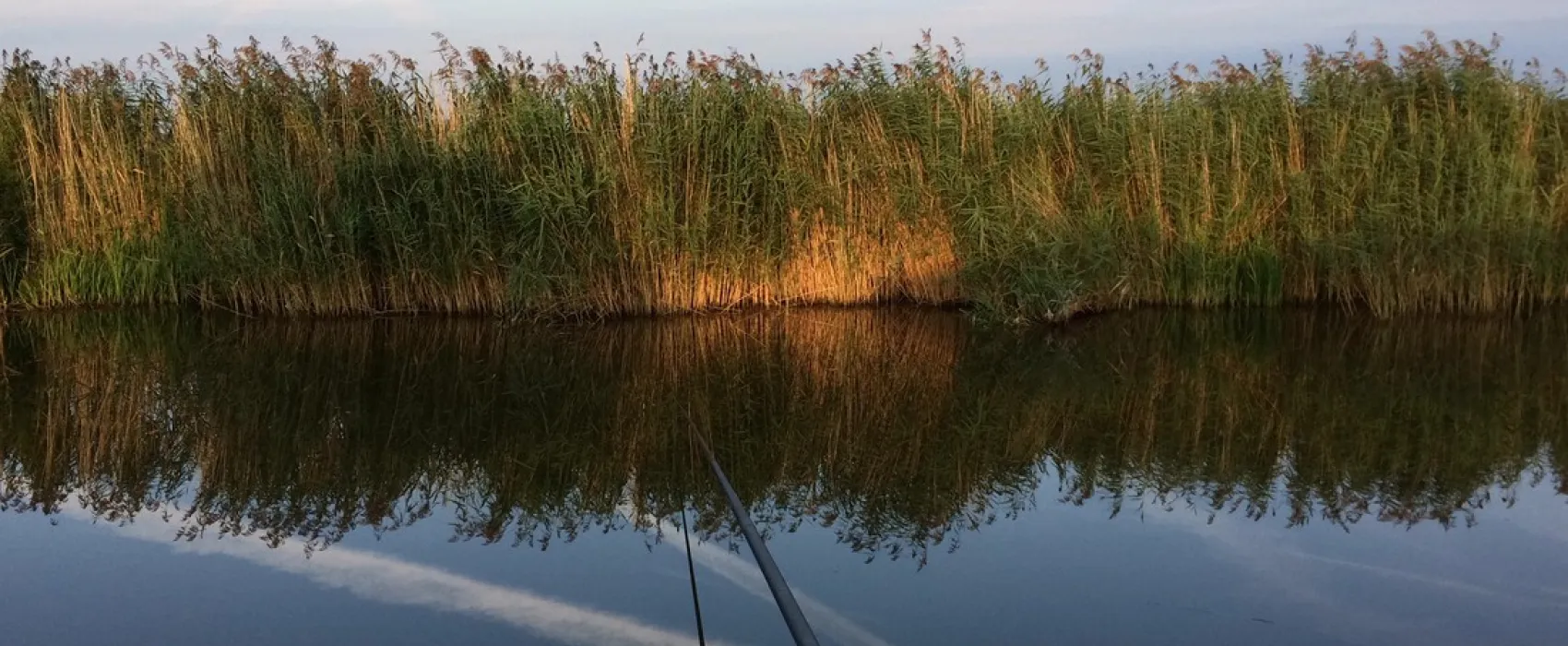 Mini camping vergezicht