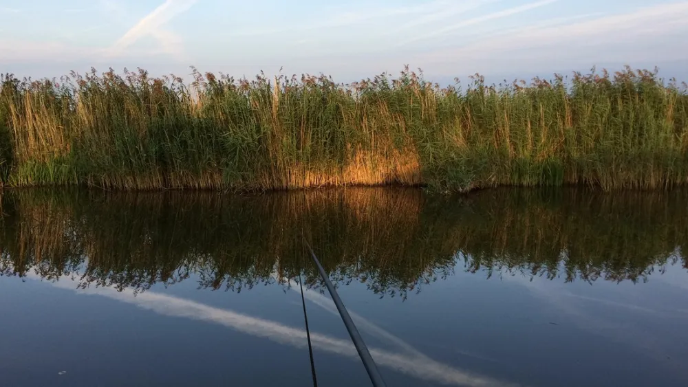 Mini camping vergezicht