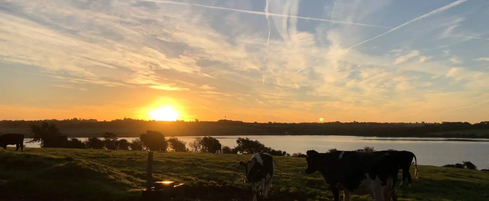 Roches Campsite Clonmines