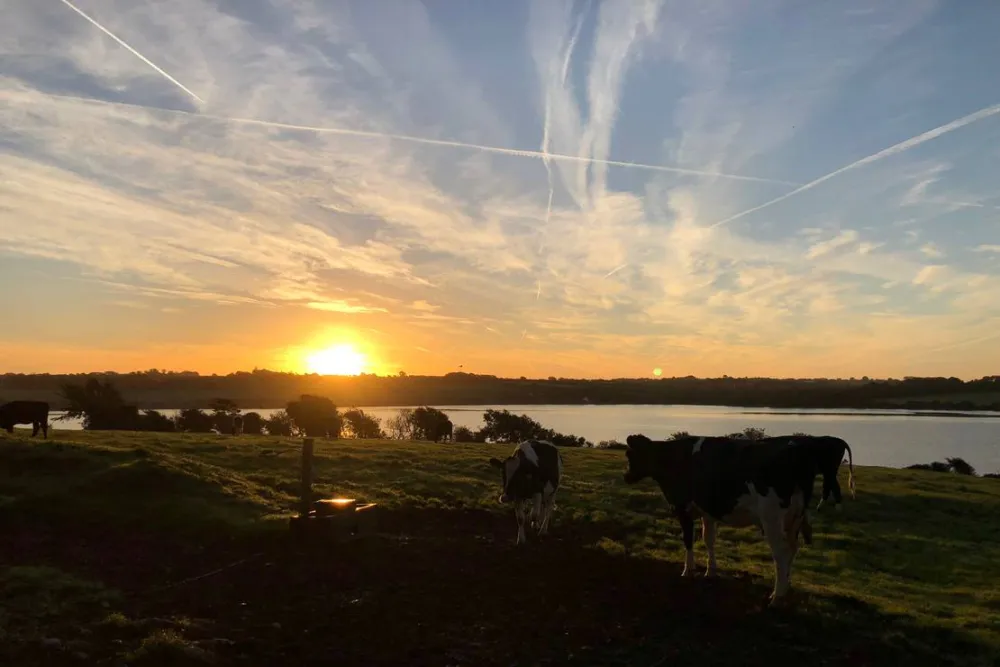Roches Campsite Clonmines