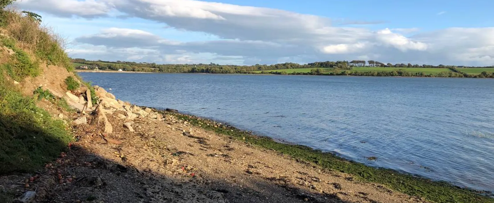 Roches Campsite Clonmines