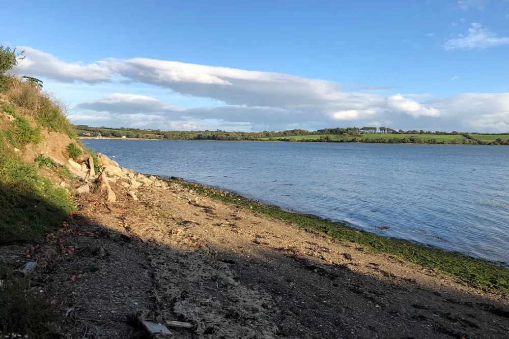 Roches Campsite Clonmines