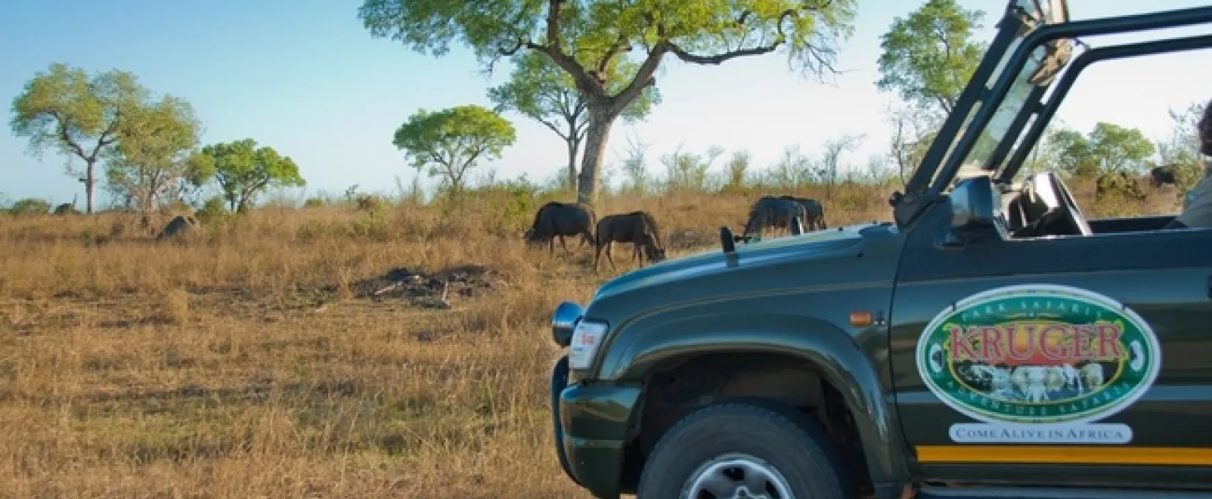 Kruger Adventure Lodge
