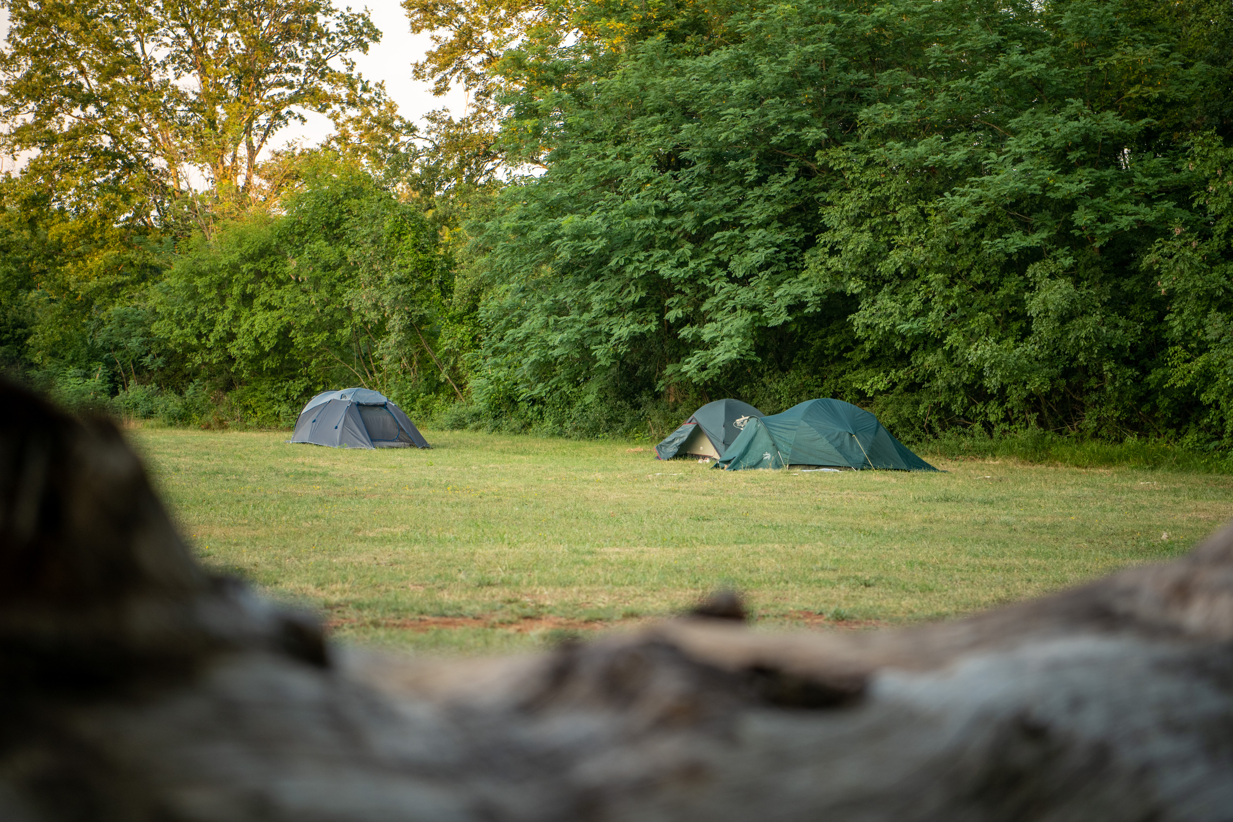 Camp Dvor photo 5