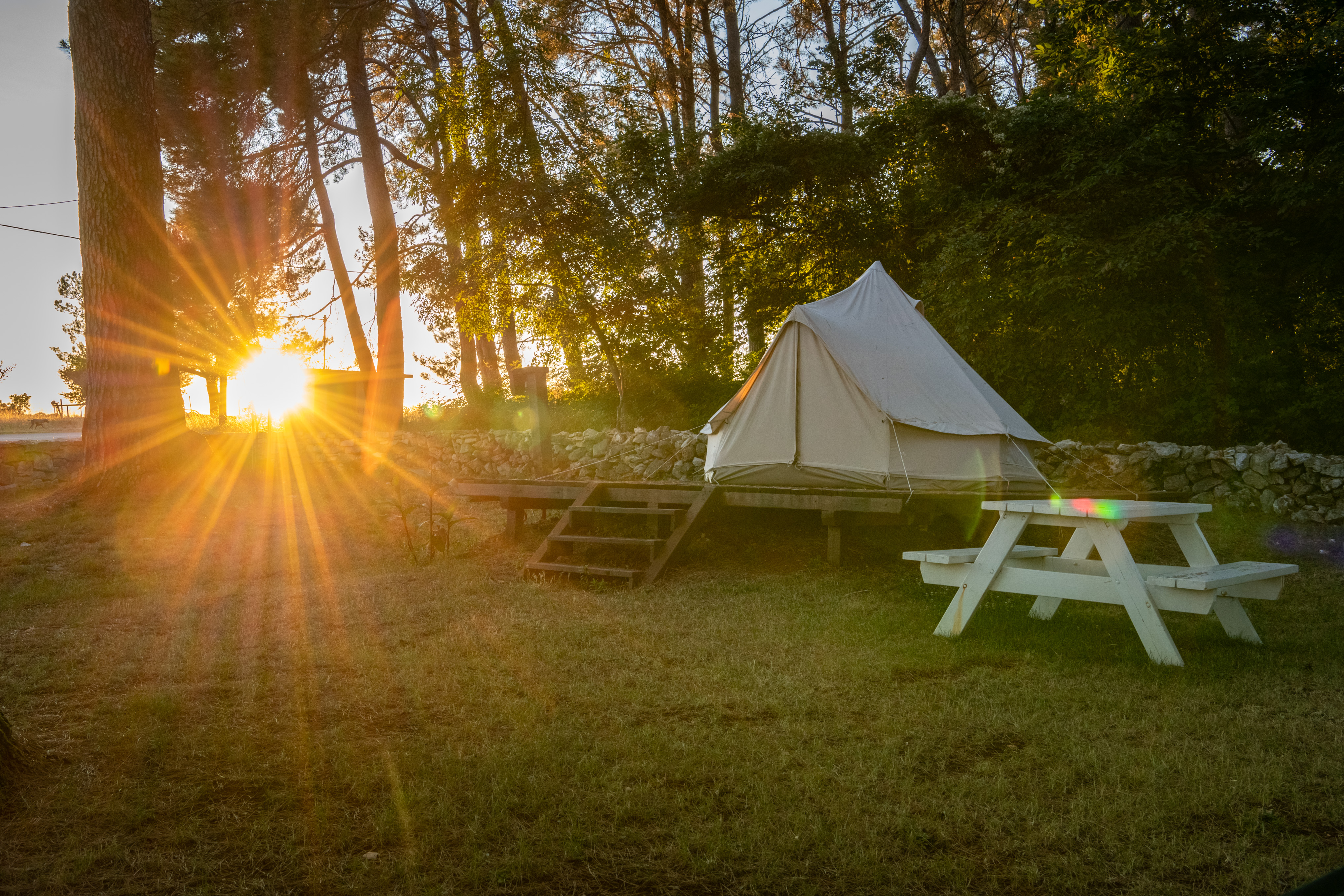 Camp Dvor photo 3
