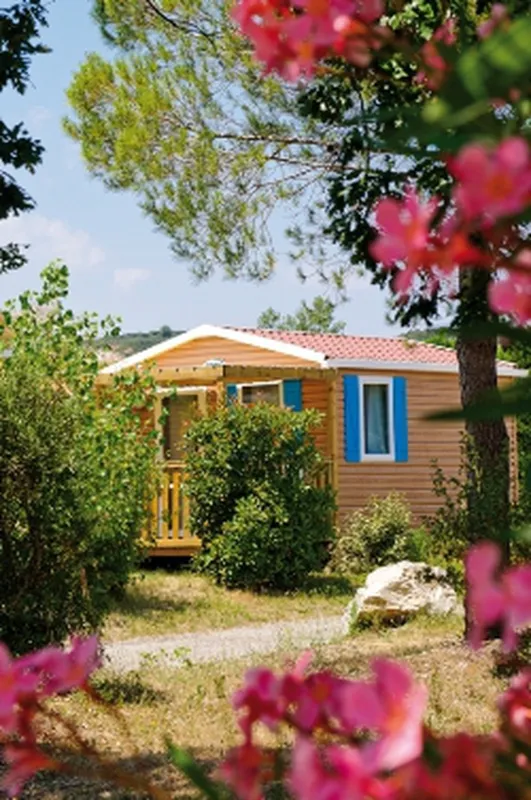 Campéole L'Ile des Papes