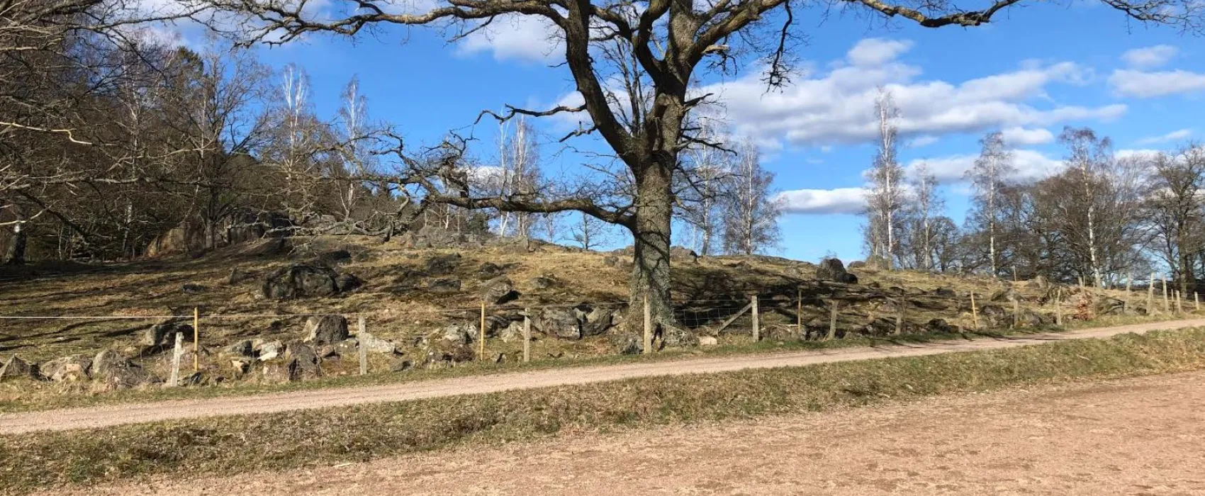 Brynestorp Ställplats