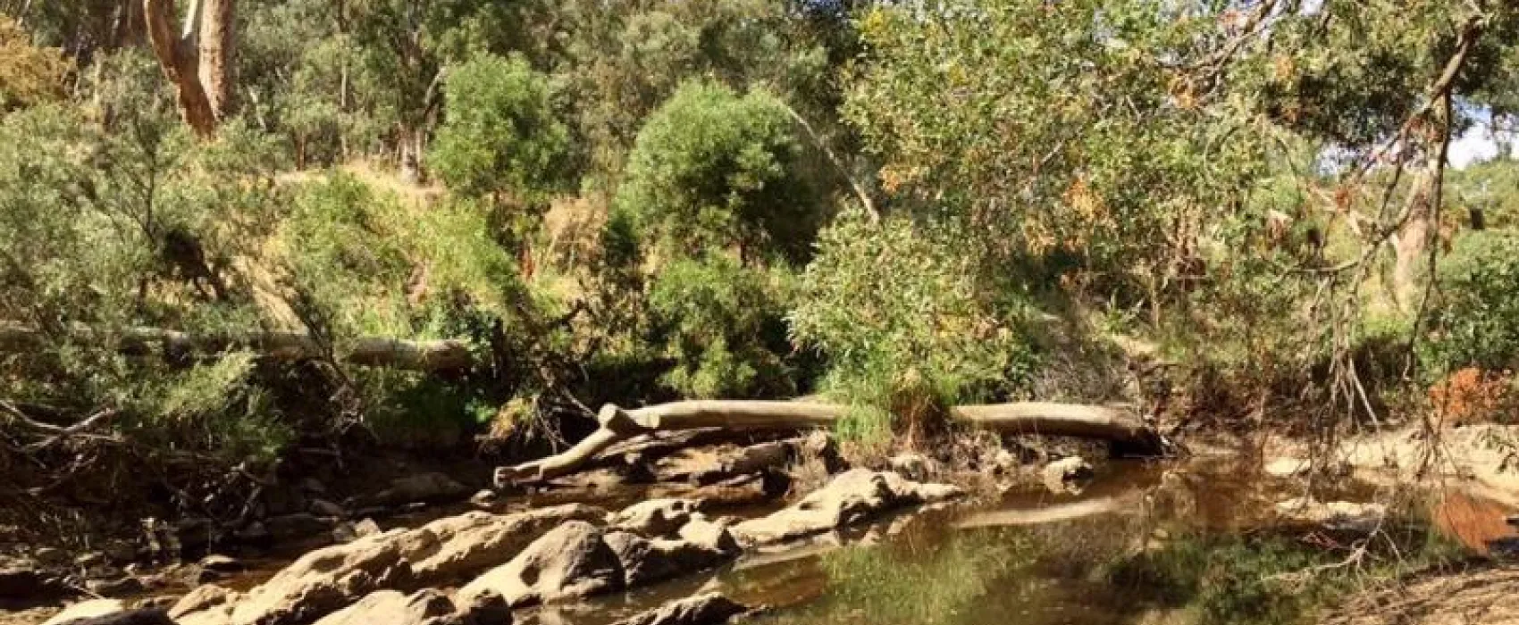 Warburtons Bridge Campground