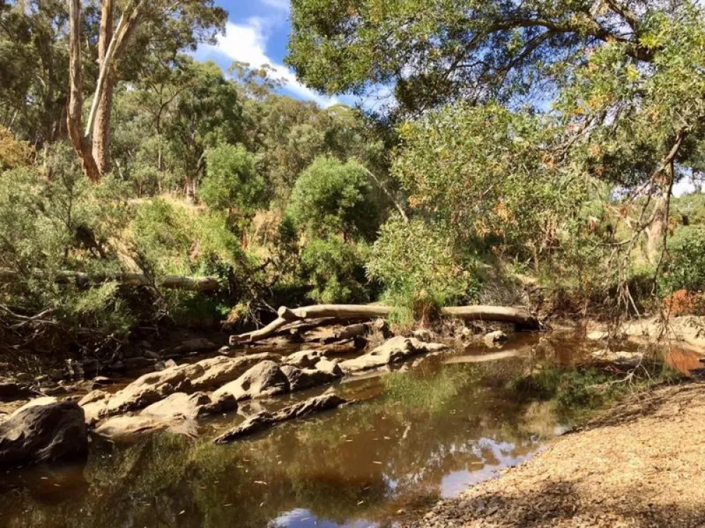 Warburtons Bridge Campground