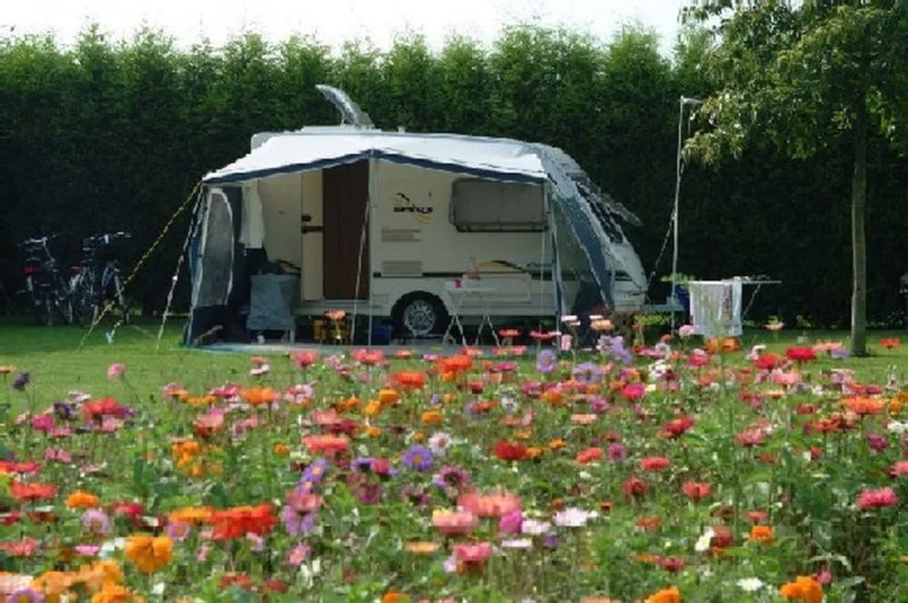 Boerderijcamping 't Eyveld