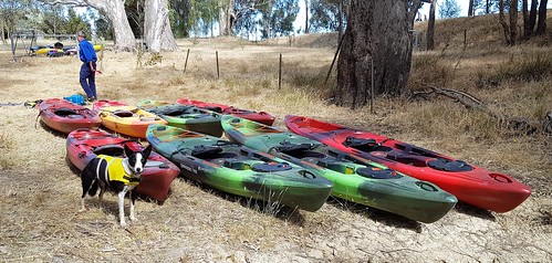 Parolos Campground photo 4
