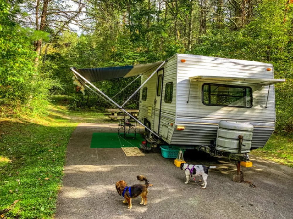 Stony Fork Campground