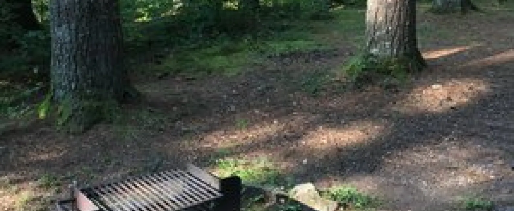 Stony Fork Campground