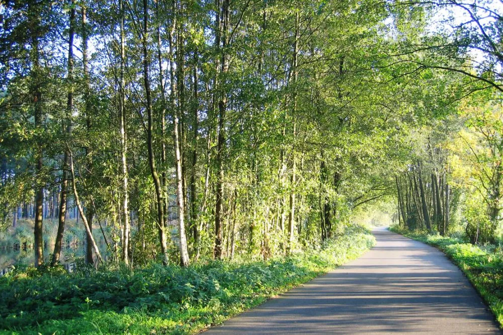 Bootsanleger & Camping Neu Göhren