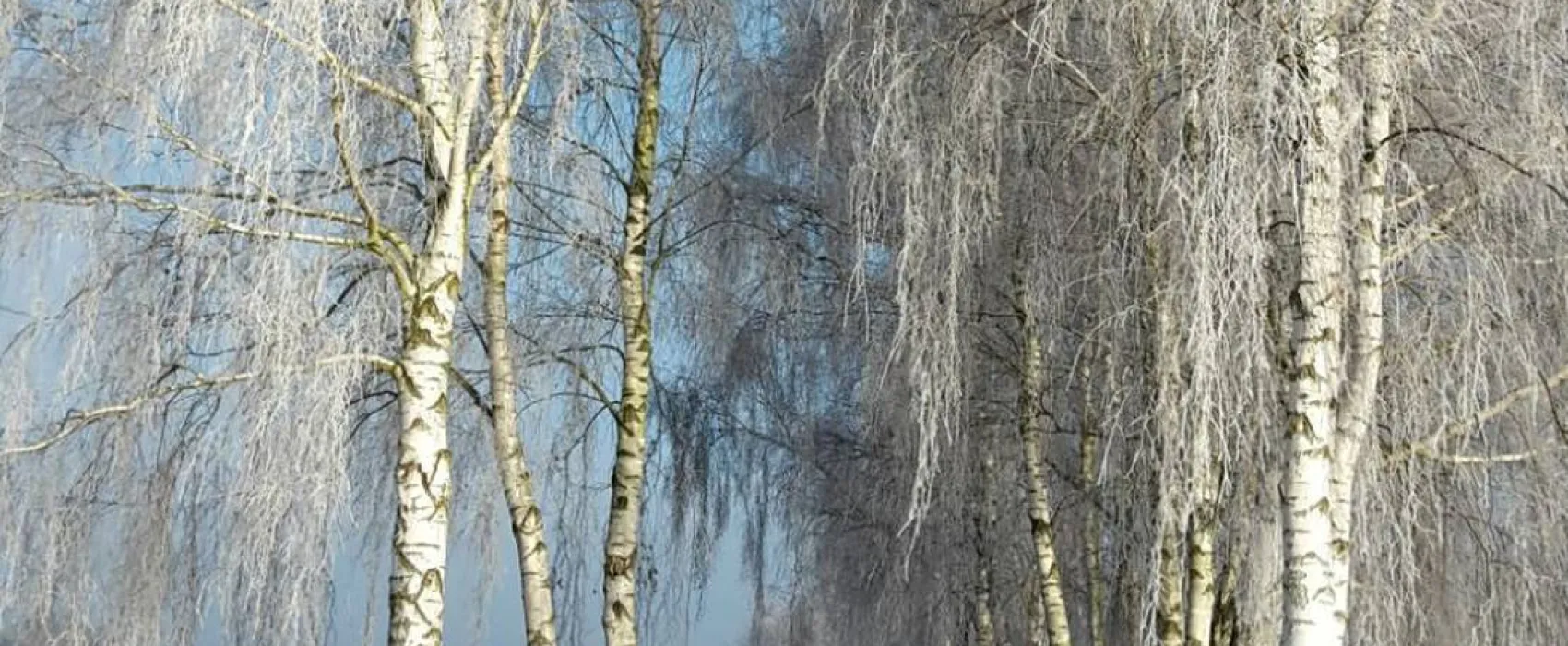 Bootsanleger & Camping Neu Göhren