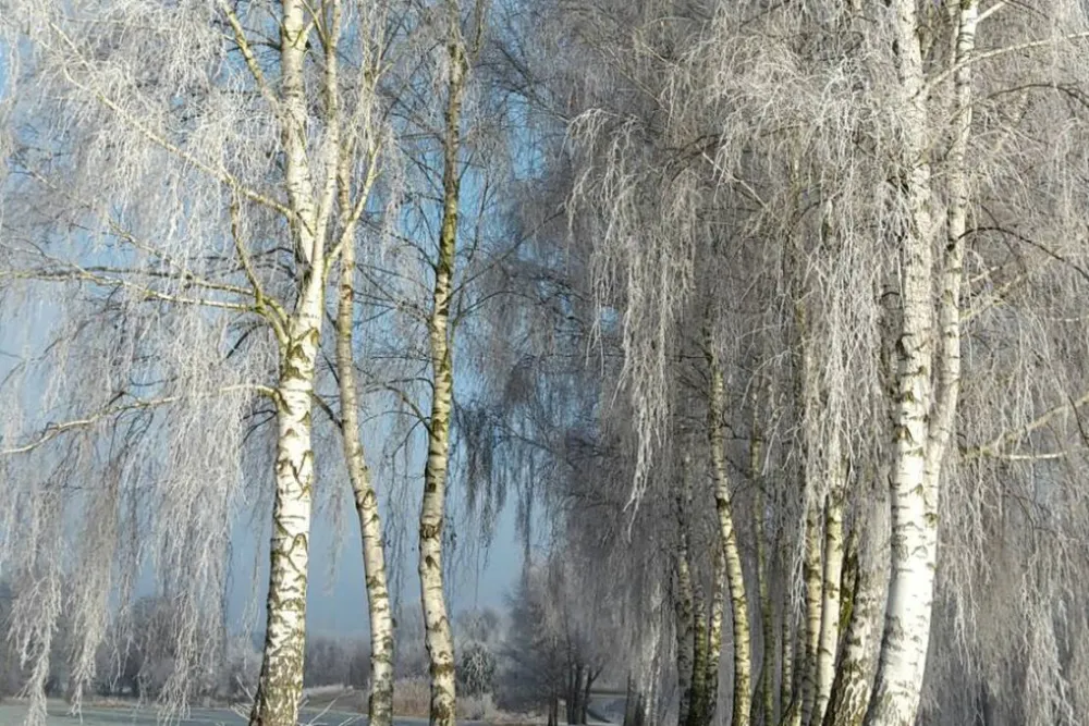 Bootsanleger & Camping Neu Göhren