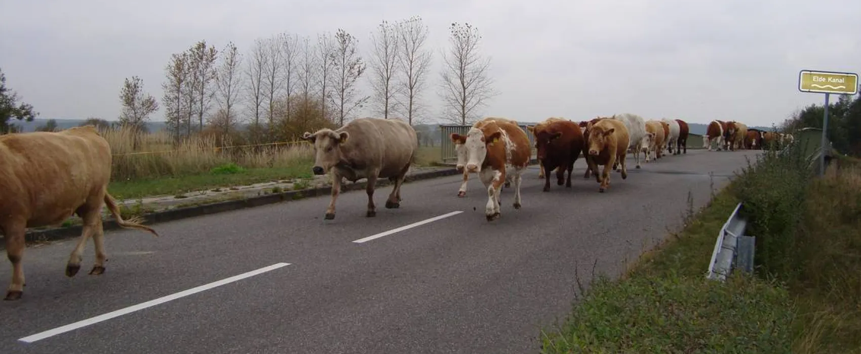 Bootsanleger & Camping Neu Göhren