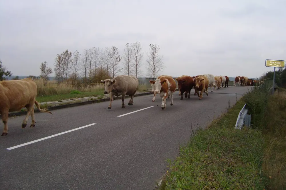 Bootsanleger & Camping Neu Göhren