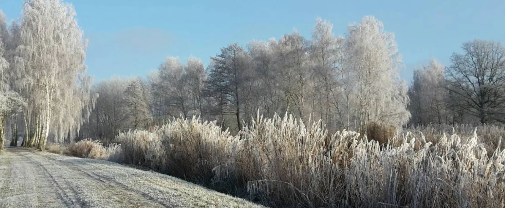 Bootsanleger & Camping Neu Göhren