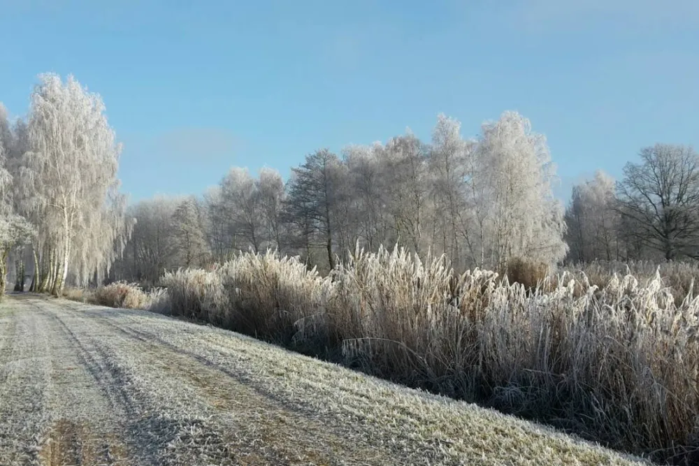 Bootsanleger & Camping Neu Göhren