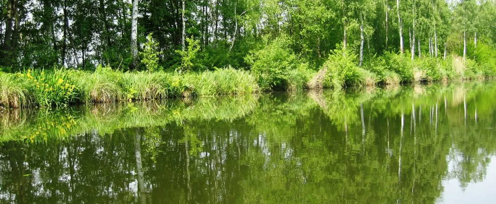 Bootsanleger & Camping Neu Göhren