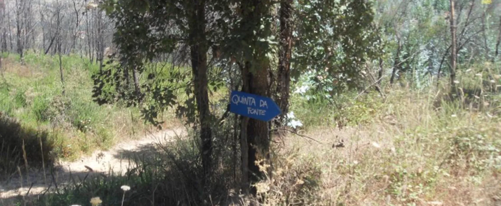 Agro-turismo Quinta da Fonte