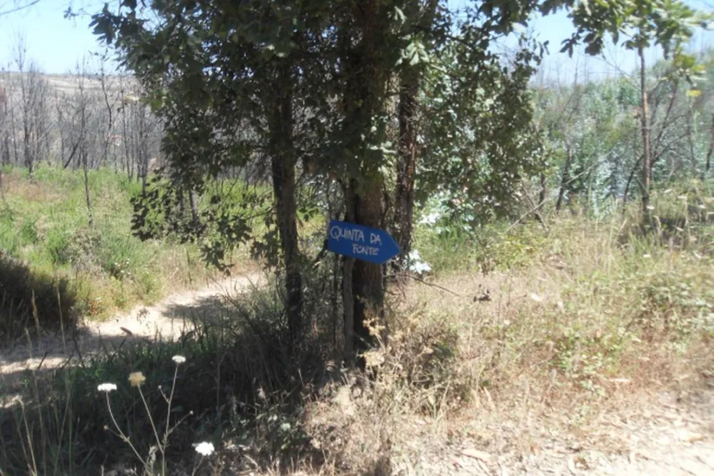 Agro-turismo Quinta da Fonte