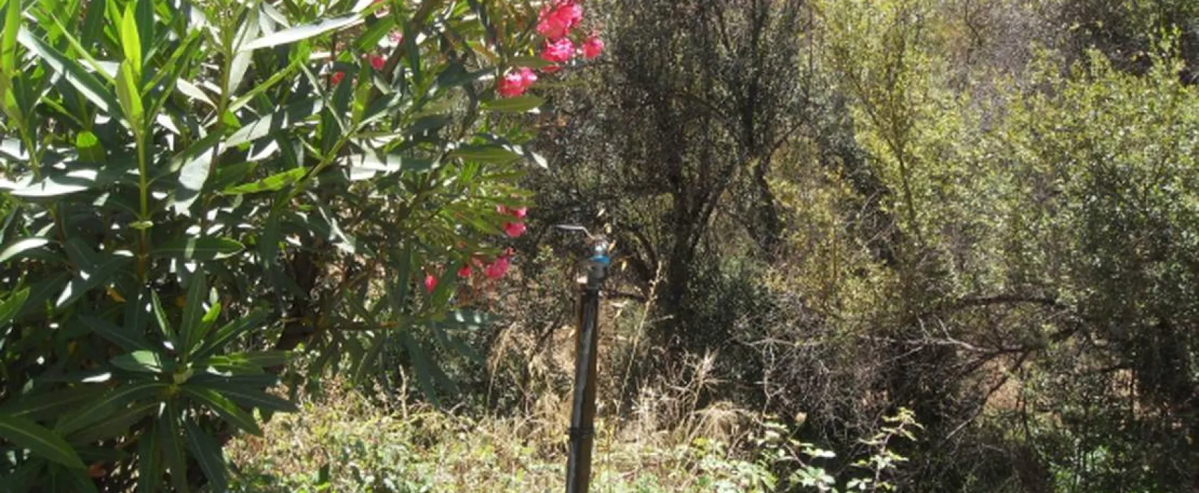 Agro-turismo Quinta da Fonte