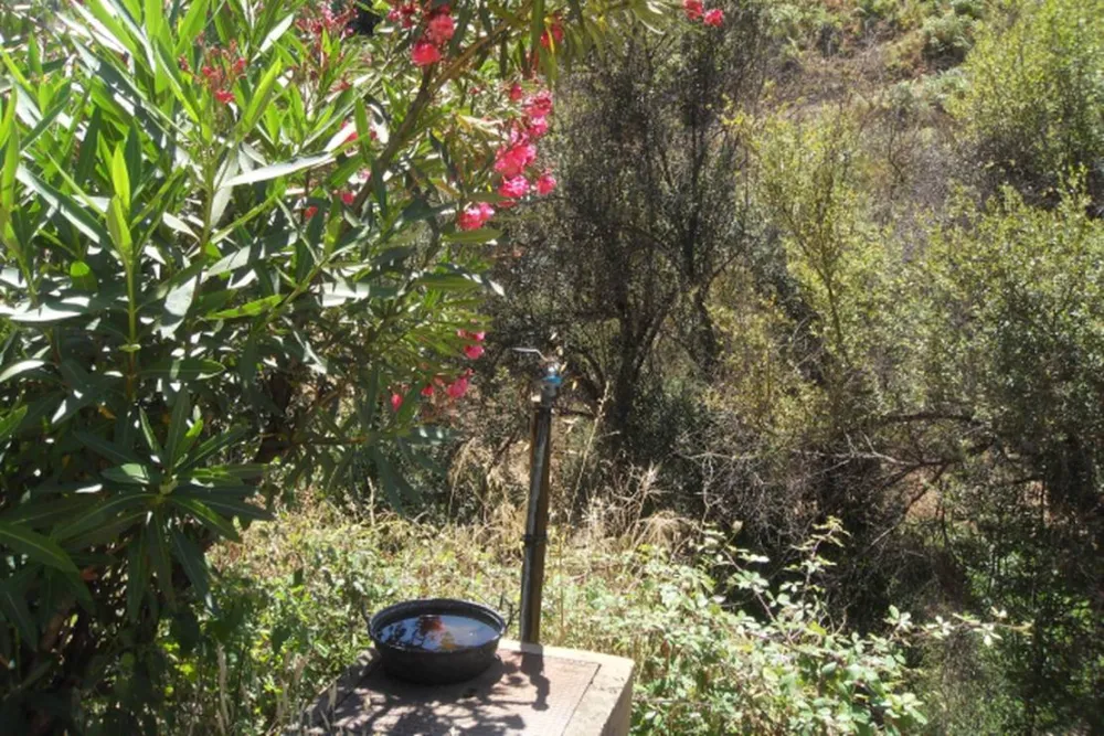 Agro-turismo Quinta da Fonte