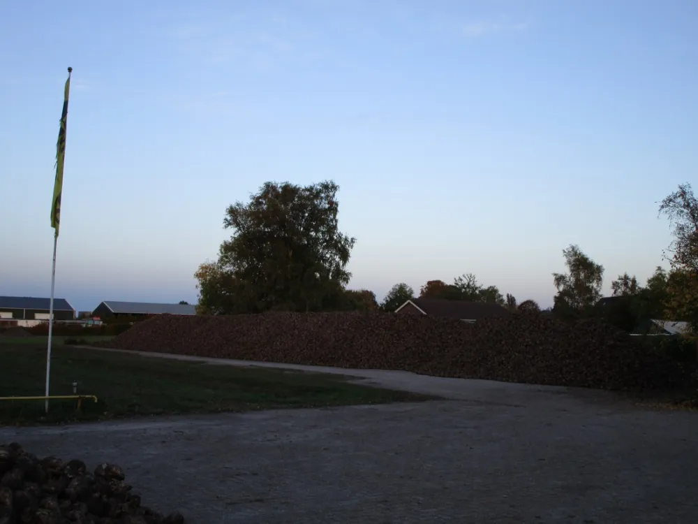 Boerderijcamping De Boergondiër