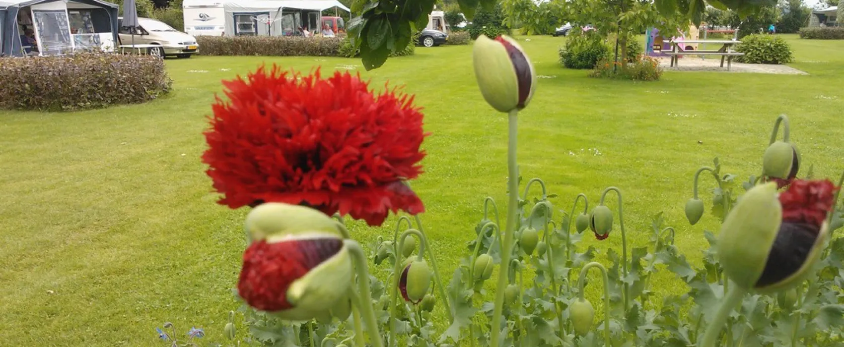 Boerderijcamping De Boergondiër