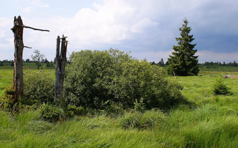 Minicamping Snowview Lodge