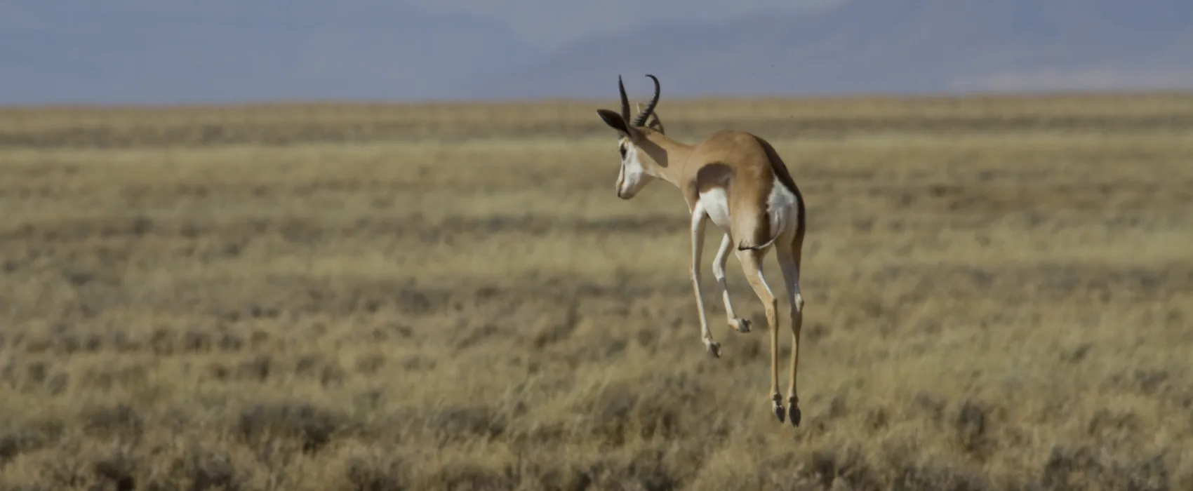 NamibRand Family Hideout