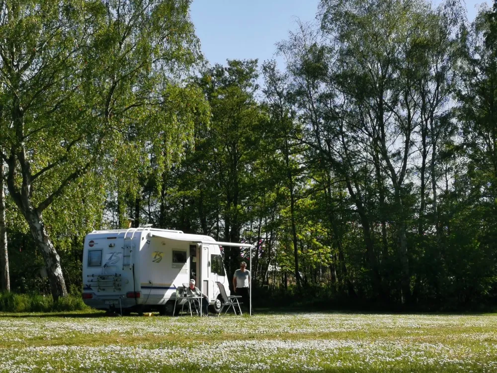 Frederiksværk Camping & Hostel