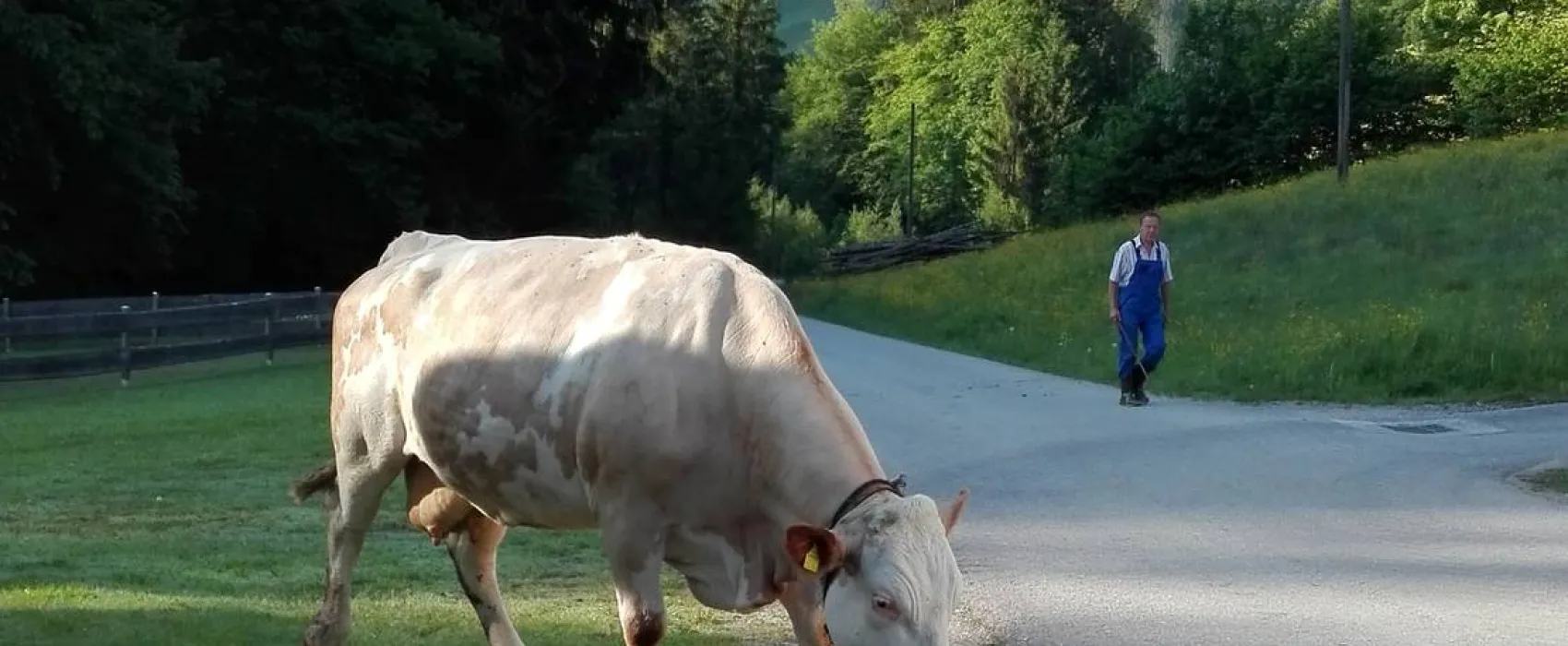 Camping Unterbuchschachner