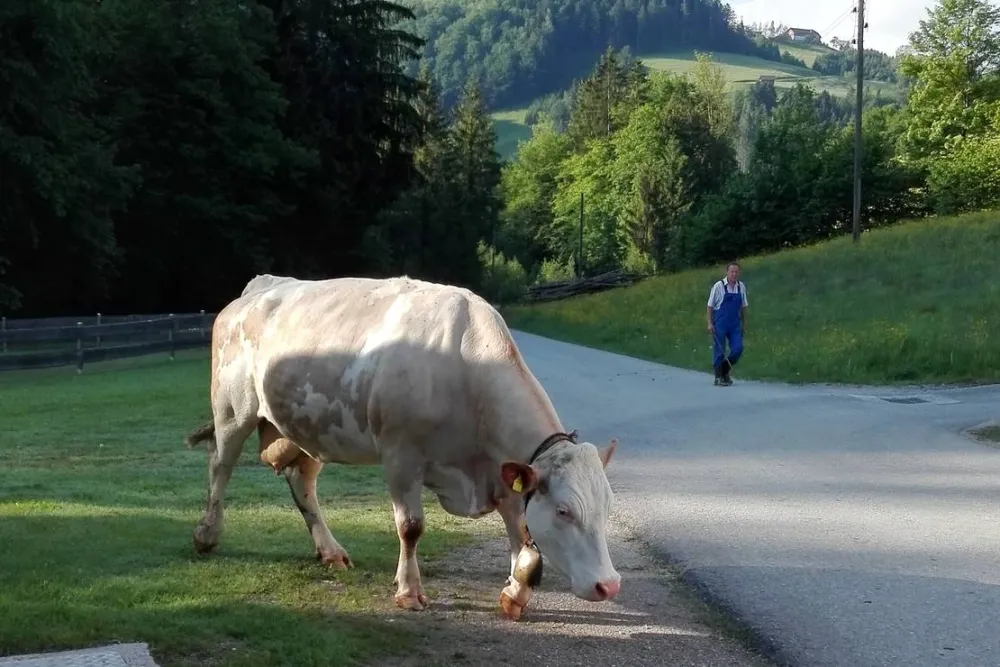 Camping Unterbuchschachner