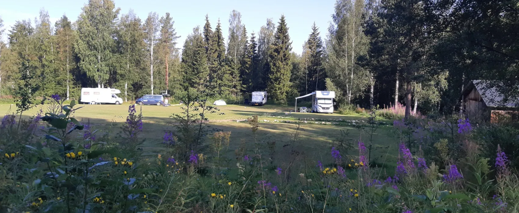 Wildlife Sweden Camp Ängra