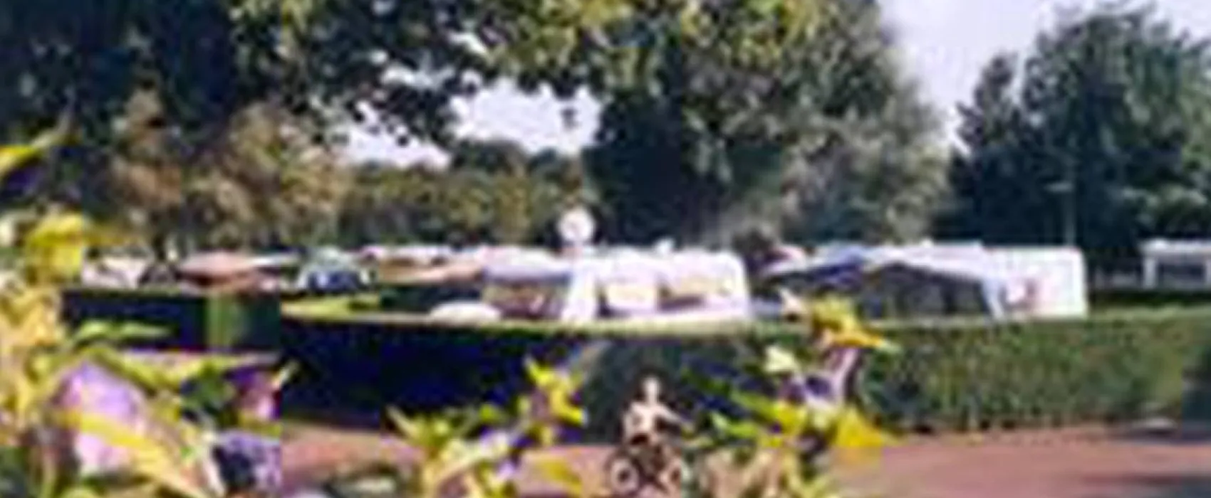 Camping municipal de l'hippodrome