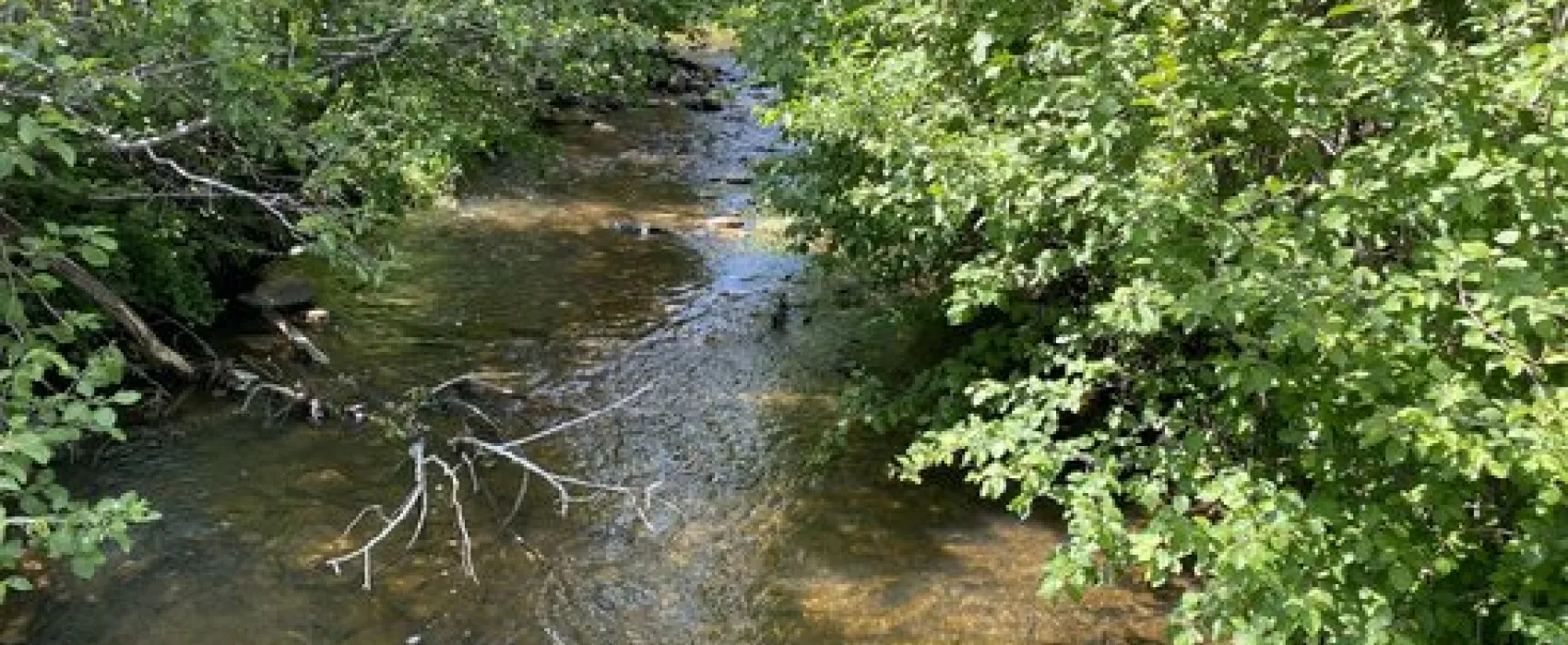 Coyote Creek State Park