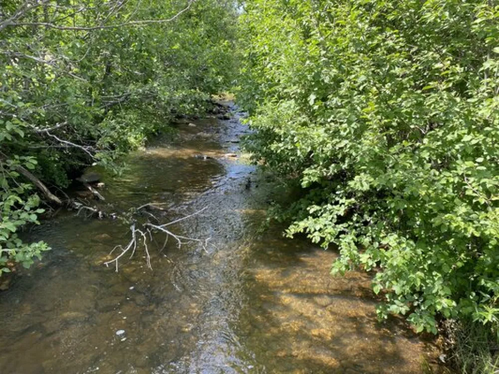 Coyote Creek State Park