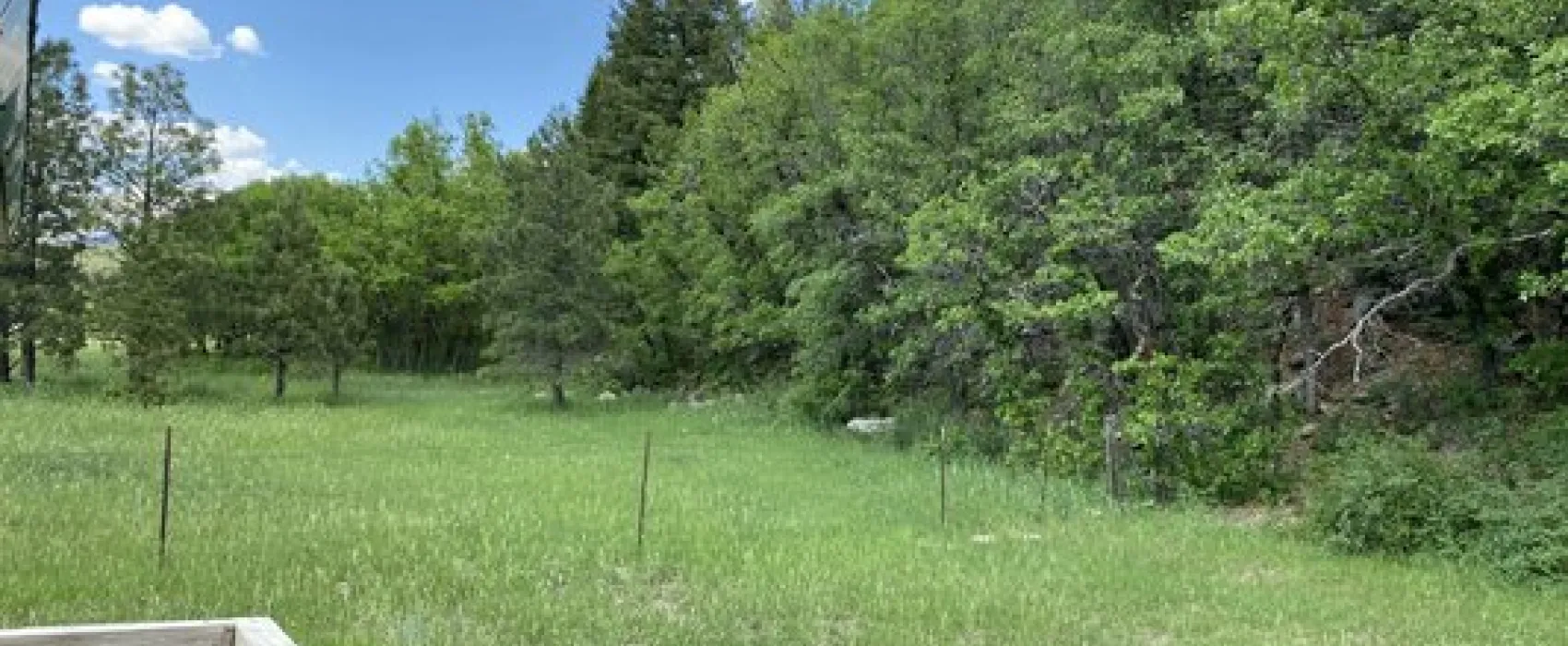 Coyote Creek State Park