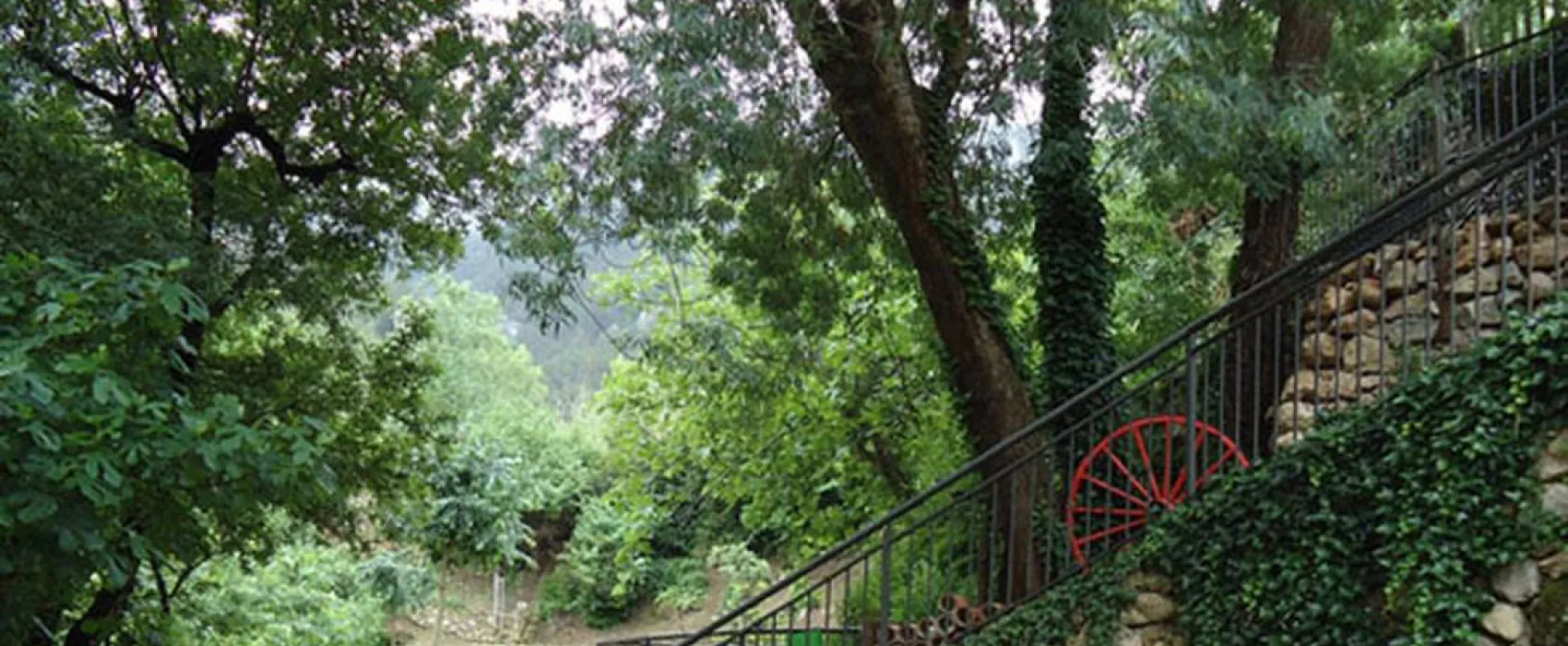 Camping La Tinença-Molí l’Abad