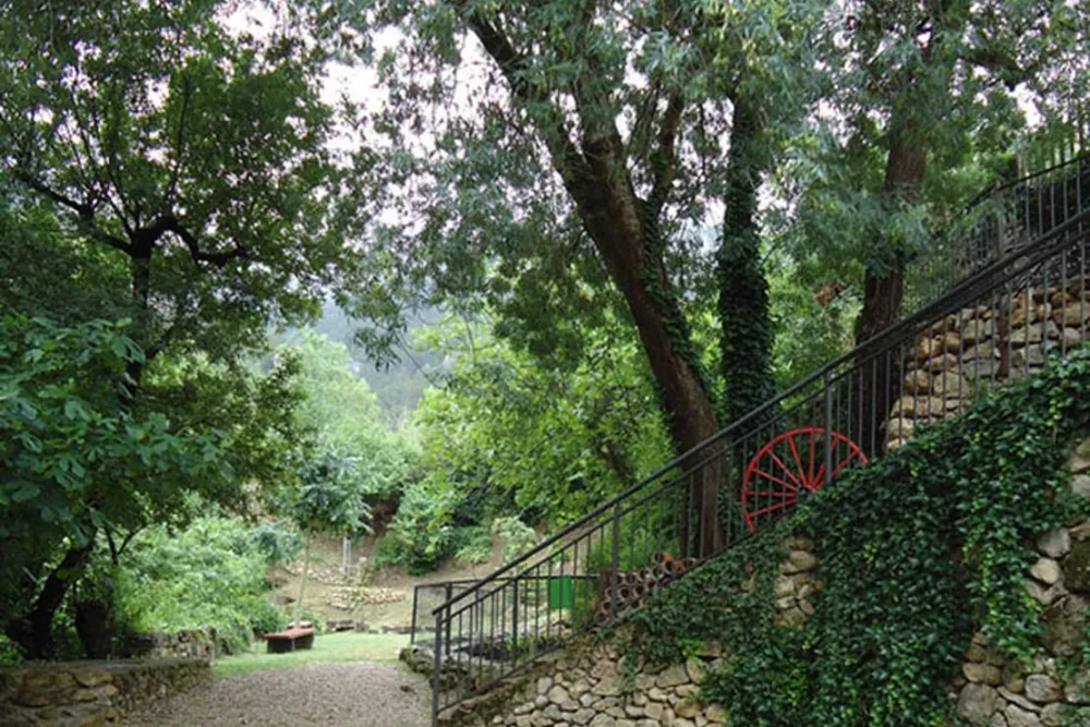 Camping La Tinença-Molí l’Abad