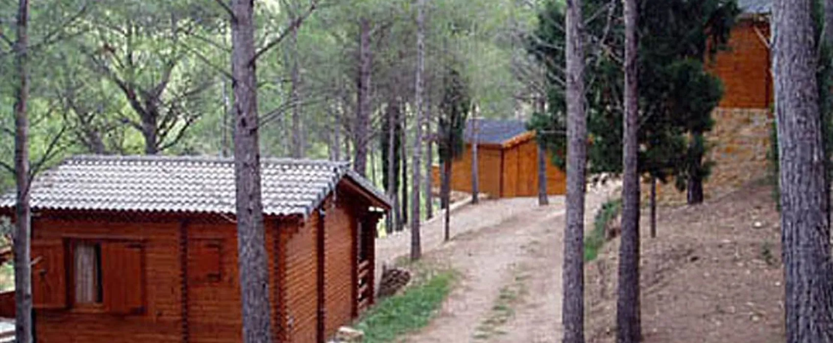 Camping La Tinença-Molí l’Abad