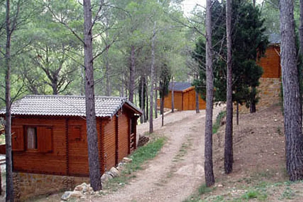 Camping La Tinença-Molí l’Abad