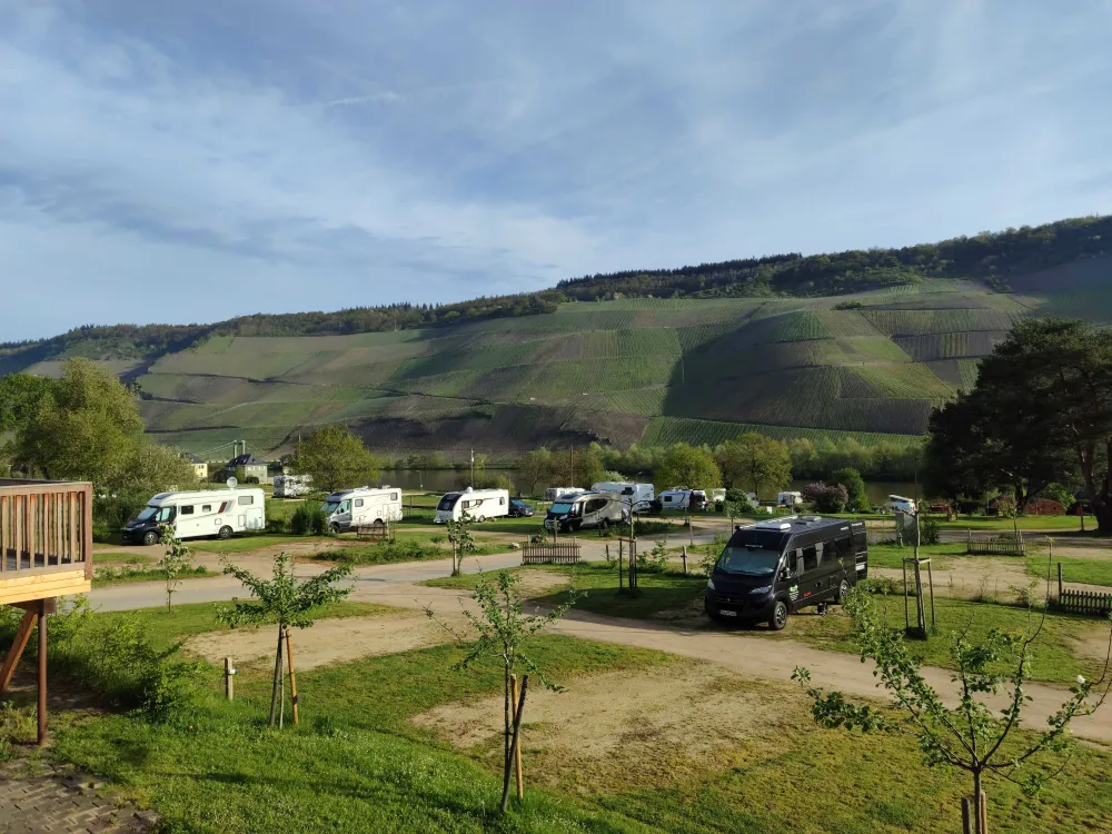 MoselCamping Bernkastel GmbH